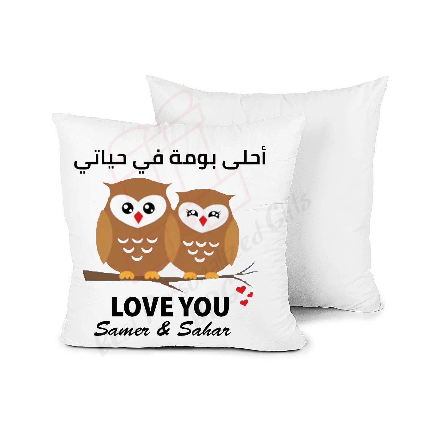 lover Owl Pillow